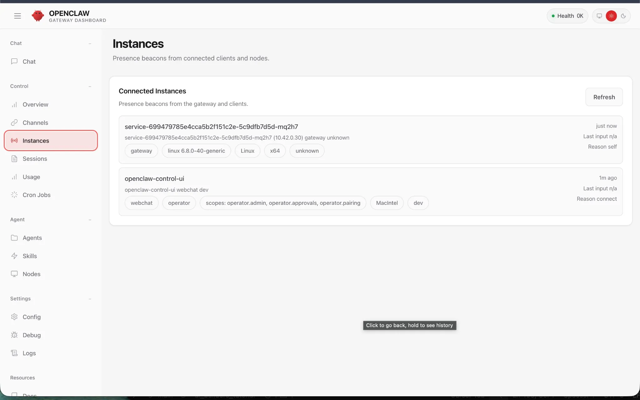Instances — Presence beacons from connected clients and nodes